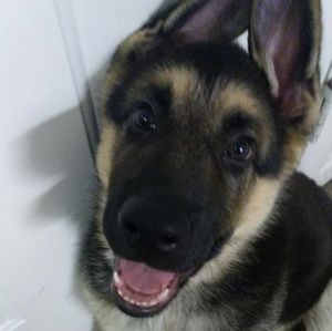 Meet your Posher, Cara